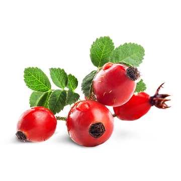 Rosehip Oil